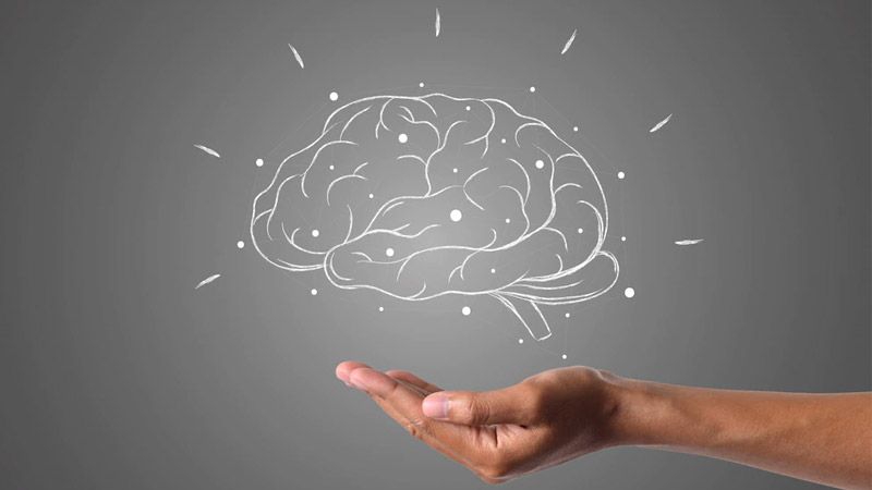 Cognitive Skills